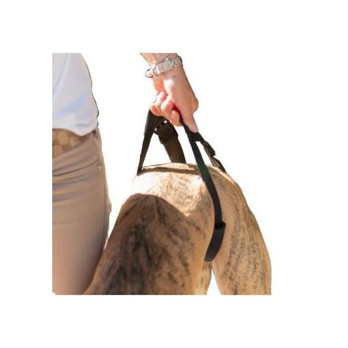 HerzensTier Geh- und Tragehilfe S