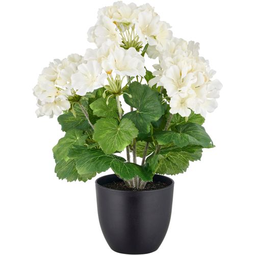 Kunstpflanze CREATIV GREEN 