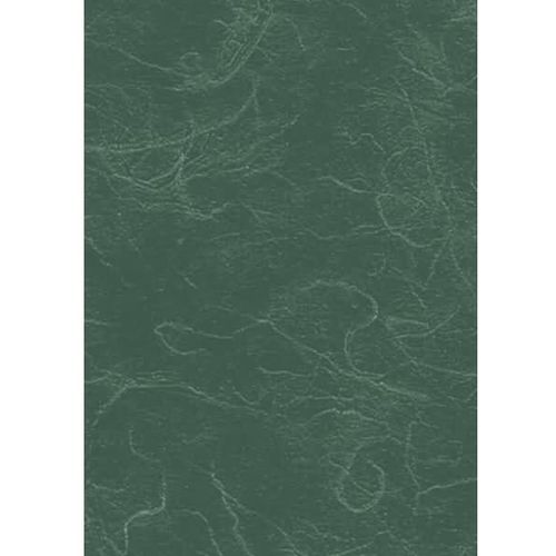 Strohseide 25g/m 50x70cm farngrün Packung mit 25 Stück