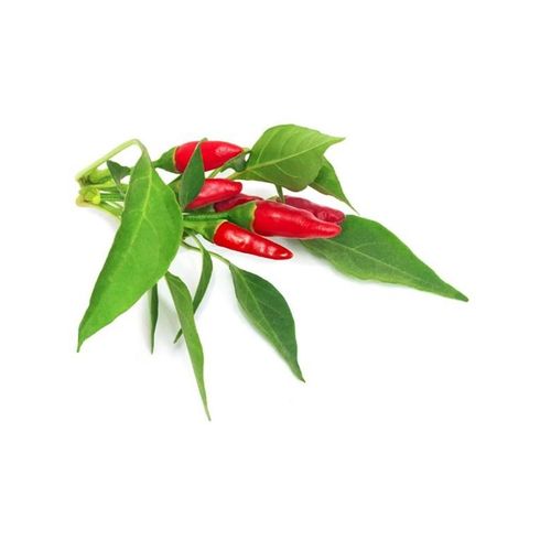 Click & Grow - Smart Garden Refill 3-pack Piri Piri