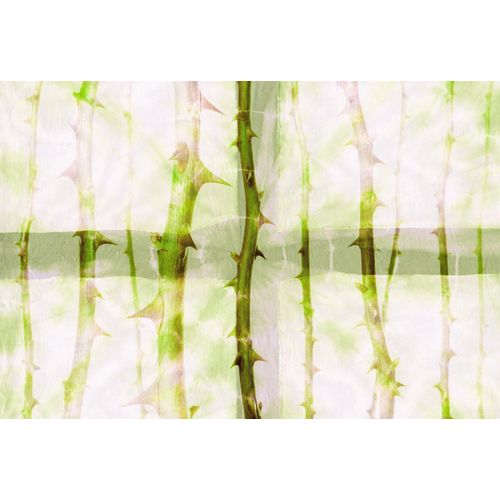 Fototapete ARCHITECTS PAPER 