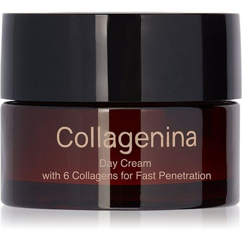 Collagenina Grade 3 Day Cream crème de jour raffermissante au collagène 50 ml