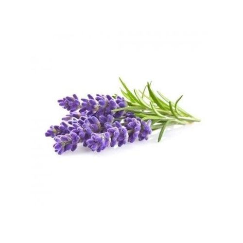 Click & Grow Click and Grow - Smart Garden Refill 3-pack - Lavender (SGR30X3)