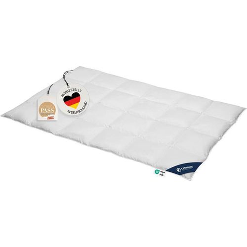 Daunendecke 240x220 cm, warme Winterdecke, Bettdecke 60% Daunen / 40% Federn, DOWNPASS, CASIMUM