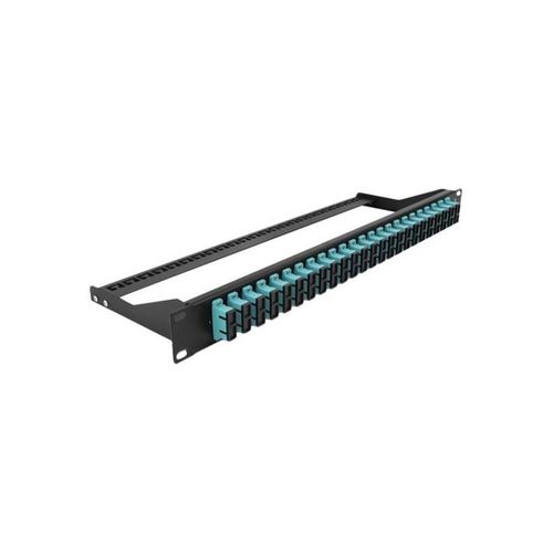 DeLOCK Patch Panel - 1U - 19