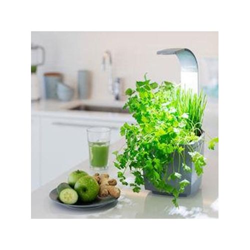 Tregren T3 GREY home garden