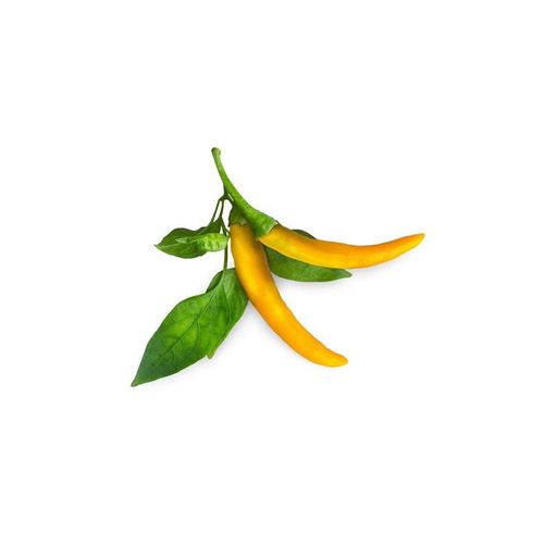 Click & Grow - Smart Garden Refill 3-pack Yellow Chili Pepper