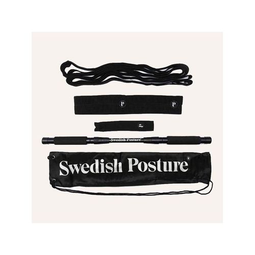 Swedish Posture Mini Gym