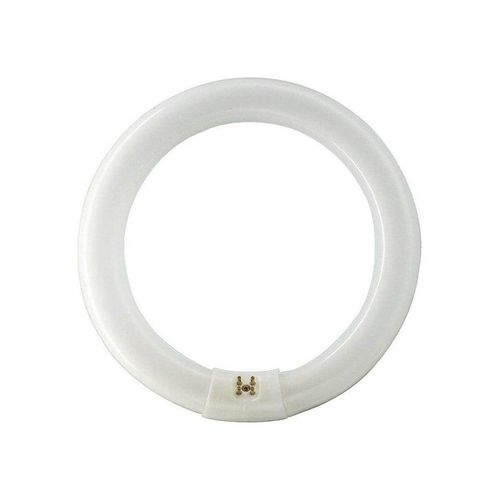Philips Fluoreszierende Glühbirne Master TL-E Circular 32W/840 G10q