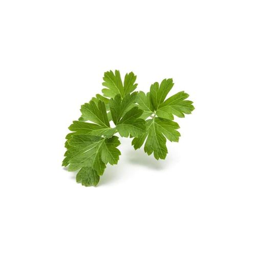 Click & Grow Click and Grow Smart Garden Refill 3-pack - Plain Parsley