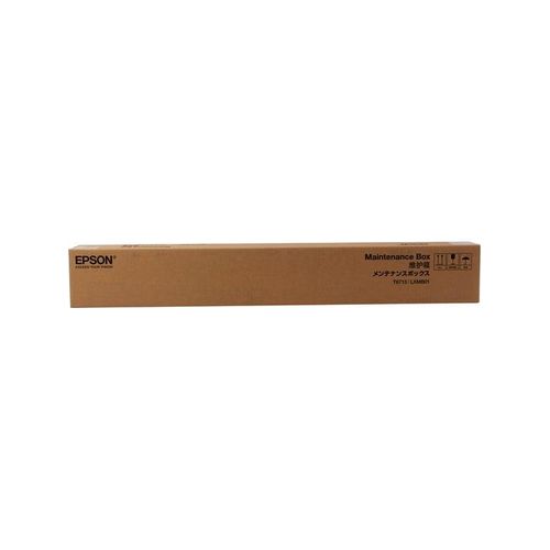 Epson T6713