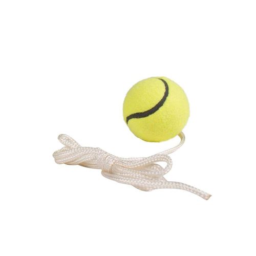 My Hood Extra Ball for Pole Tennis