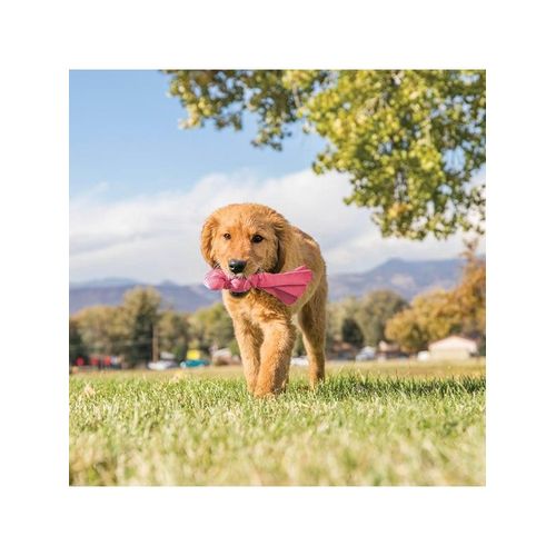 KONG Hundespielzeug Wubba Puppy 21cm