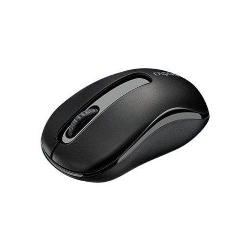 RAPOO M10 PLUS - Maus (Grau)