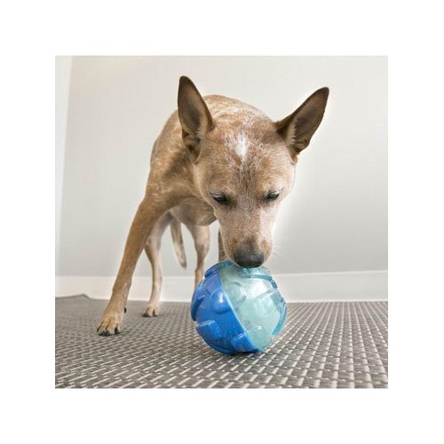 KONG Dog Toy Rewards Ball Large 12cm