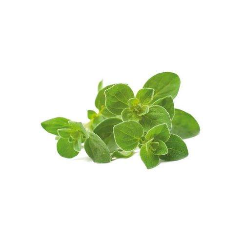 Click & Grow Click and Grow - Smart Garden Refill 3-pack Oregano