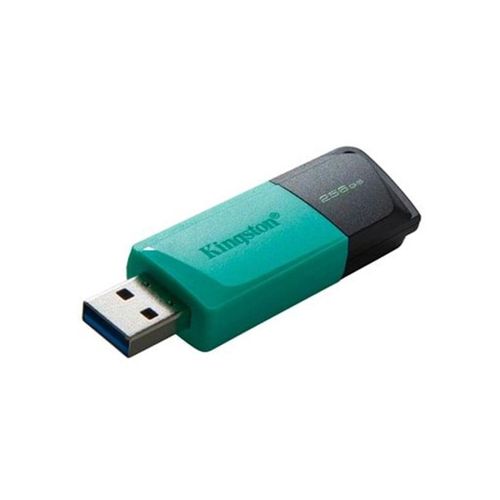Kingston DataTraveler Exodia M - Blau - 256GB - USB-Stick