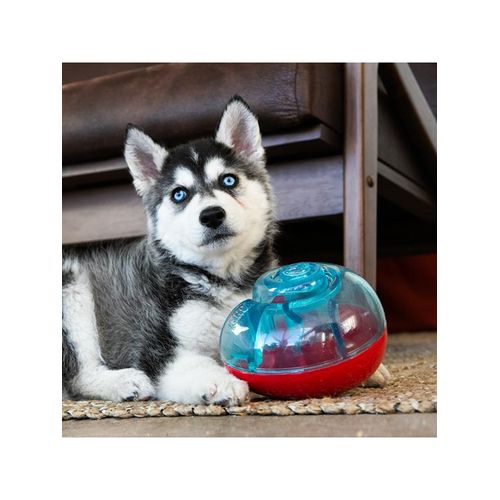 KONG Dog Toy Rewards Shell S