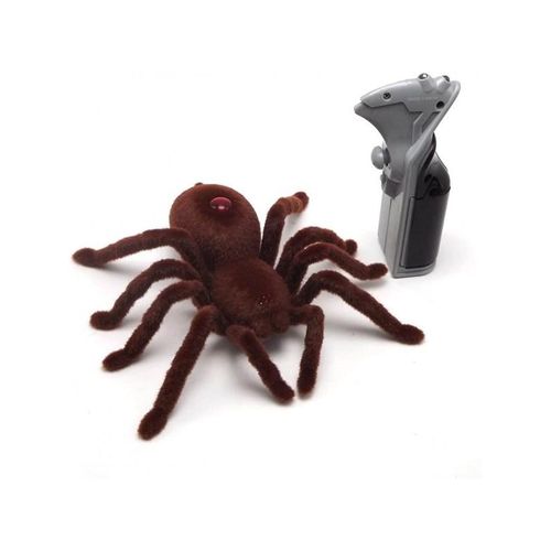 Pro Remote Controlled Spider
