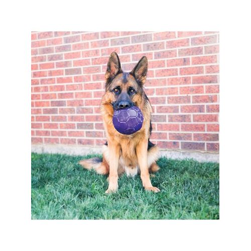 KONG Dog Toy Flexball 15cm
