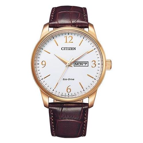 Solaruhr CITIZEN, braun (braun, weiß), Armbanduhren, Herren, Armbanduhr, Herrenuhr