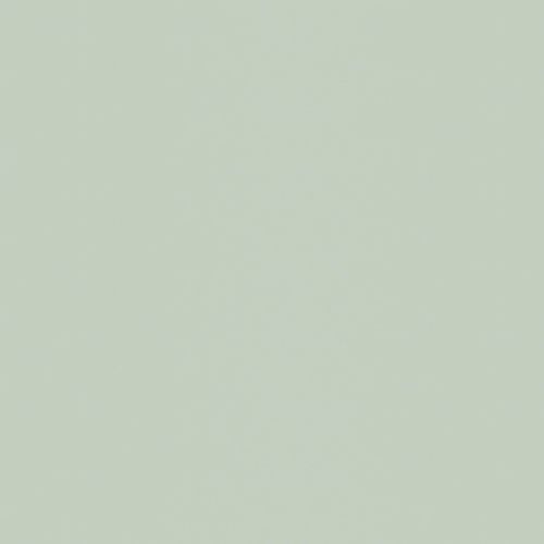 Vliestapete SUPERFRESCO EASY, grün, B:0,52m L:10m, Vlies, Tapeten, Uni - Taupe - 10m x 52cm