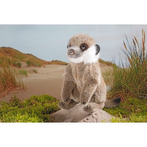 Kösen Erdmännchenbaby 21 cm