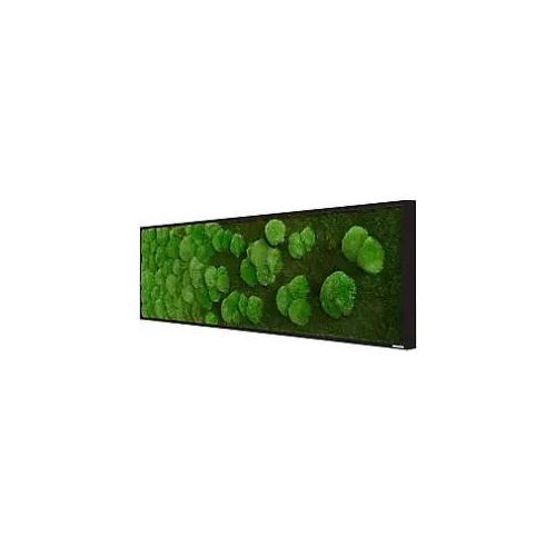 best of GREEN Mossbild 140 x 4 x 40 cm
