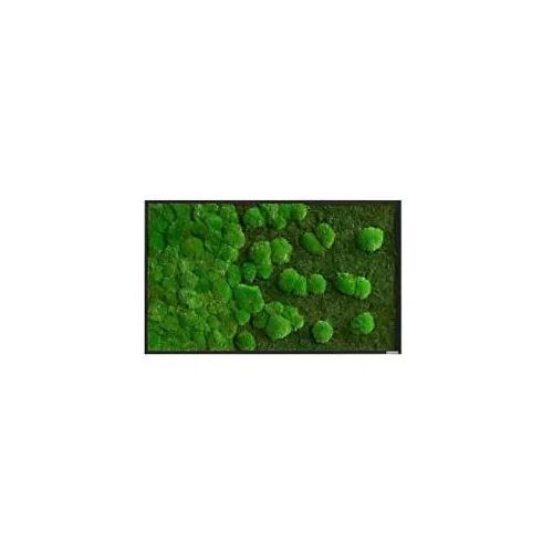 best of GREEN Mossbild 100 x 4 x 60 cm