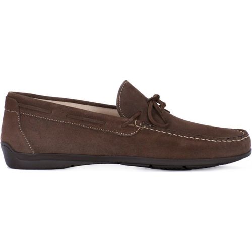 IGI&CO Schuhe Scamosciato Tortora, 11114TORTORA