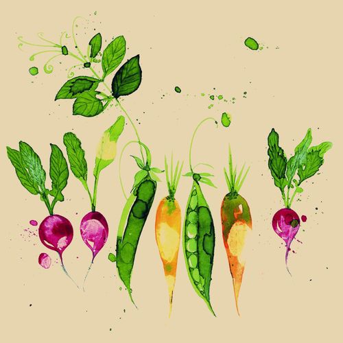 Servietten GREEN VEGETABLE