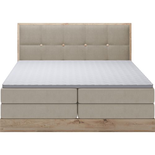 Schlafzimmer Bett Elegantes Polsterbett ELLI – Kontinentalbett Mit Hochwertigen Materialien, 181 cm Breite Und Praktischem Stauraum | 180x200 cm | Esche