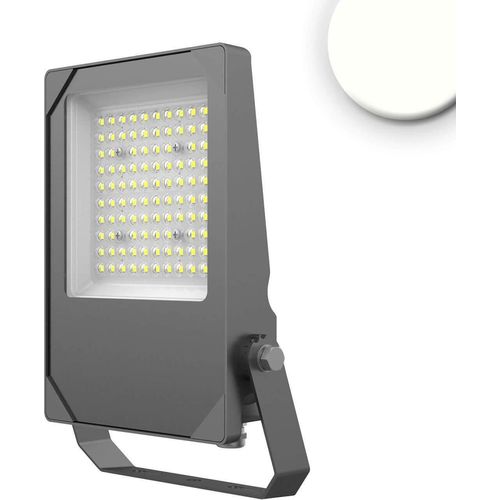 ISOLED LED Fluter HEQ 50W, 30°, 4000K, IP66