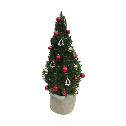 Tchibo - Echtes Weihnachtsbäumchen mit Dekoration - beige