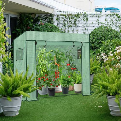 Tomatengewächshaus XL Foliengewächshaus Stabiler Garten Winterfest 200 x 170/150 x 80 cm (Grün)