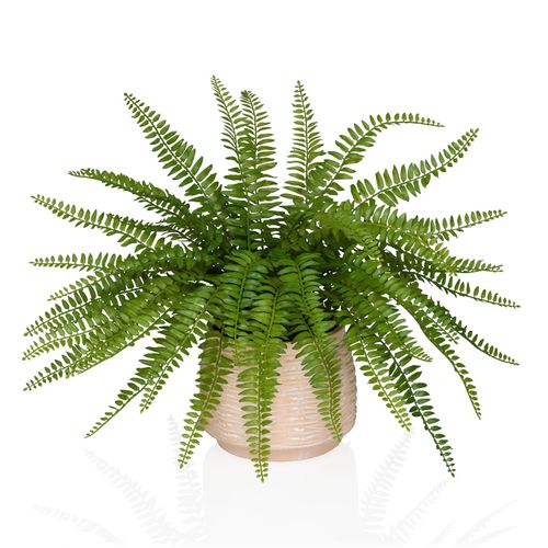 hjh OFFICE Kunstpflanze Proliferum Kunststoff