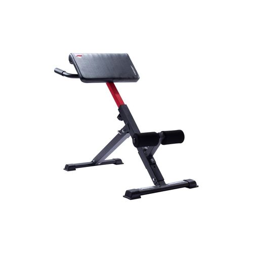 Bauch- und Rückentrainer AB 1000