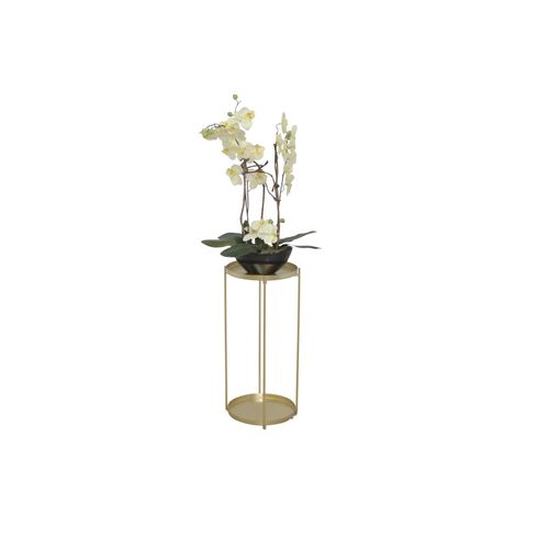 möbel direkt online Blumenständer Iris XL