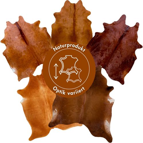 Fellteppich LUXOR LIVING 