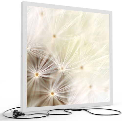 DEQORI LED-Bild & Lampe 60x60 cm Weiß 'Pusteblume ganz nah' Leuchtbild LED Leuchte