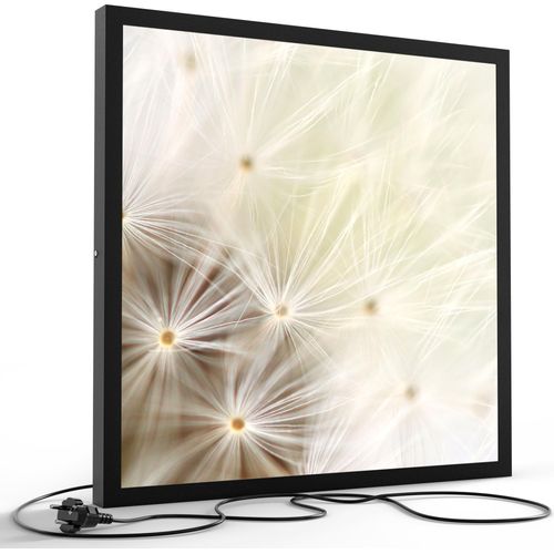 DEQORI LED-Bild & Lampe 60x60 cm Schwarz 'Pusteblume ganz nah' Leuchtbild LED Leuchte