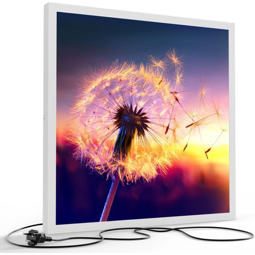 DEQORI LED-Bild & Lampe 60x60 cm Weiß 'Pusteblume im Abendlicht' Leuchtbild LED Leuchte