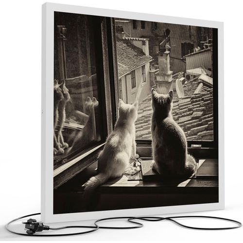 DEQORI LED-Bild & Lampe 60x60 cm Weiß 'Katzen auf Fensterbrett' Leuchtbild LED Leuchte