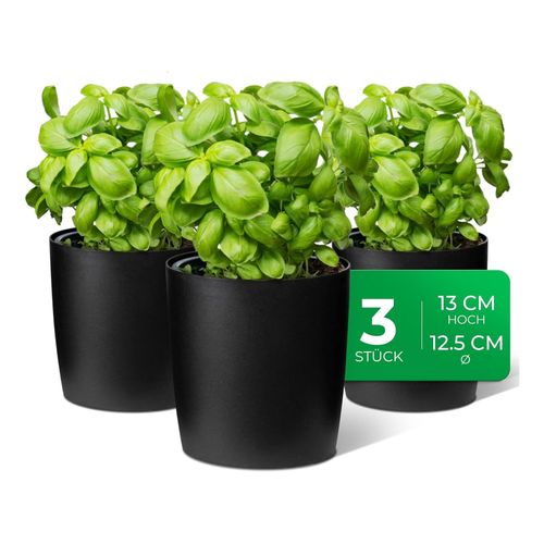 Novaliv Stilvolle 3er Set Kräutertopf aus Kunststoff Schwarz für Jede Fensterbank, frische Küchenkräuter, Kräutergarten für die küche, Kräuterbeet Indoor, Zimmerpflanzen, Pflanzentopf, Pflanzschale