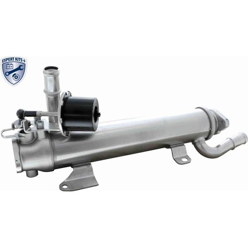 VEMO V10-63-0124 AGR Kühler für VW GOLF VI (5K1) Passat Variant (3C5) TIGUAN (5N) GOLF PLUS (5M1, 521) Golf VI Variant (AJ5) Golf V Variant (1K5)