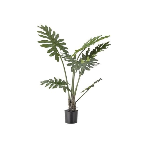 Bloomingville Philodendron