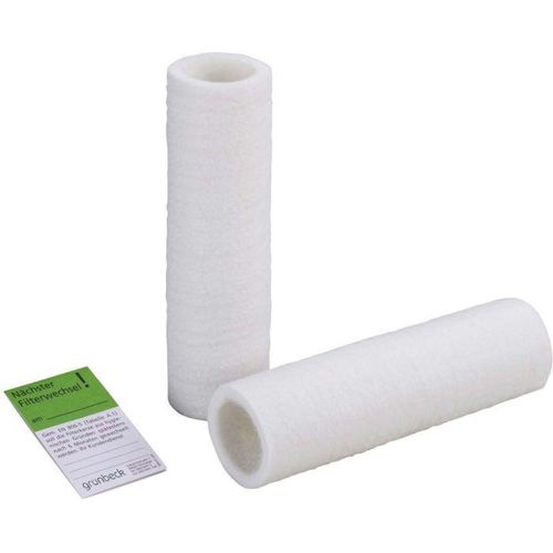Grünbeck Ersatzfilterkerze 103076 80 µm Gr. 2 ohne Schutzglocke, 2er-Pack