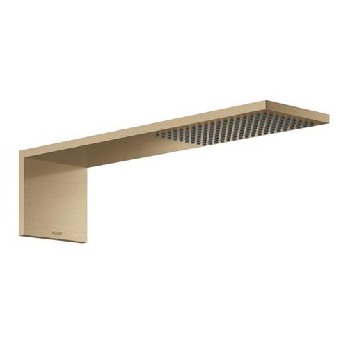 hansgrohe ShowerComposition Kopfbrause 12592140 110x220mm, Wandmontage, 1jet, brushed bronze