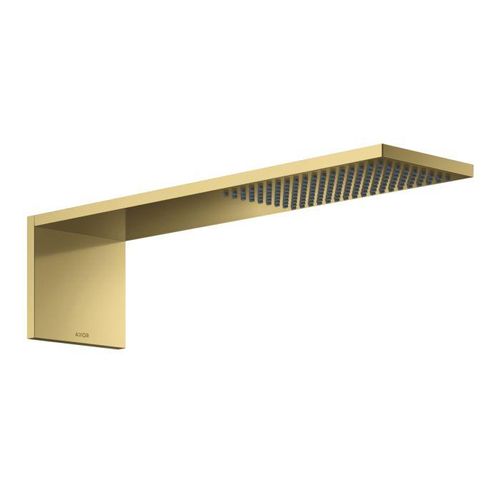 hansgrohe ShowerComposition Kopfbrause 12592990 110x220mm, Wandmontage, 1jet, polished gold optic