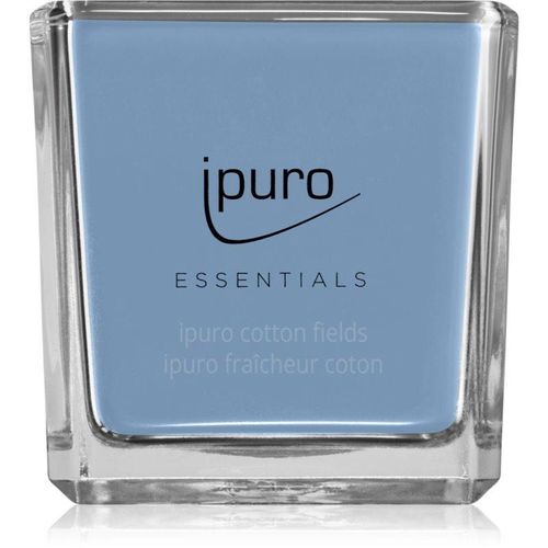 ipuro Essentials Cotton Fields scented candle 125 g